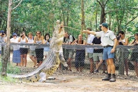 Billabong Sanctuary